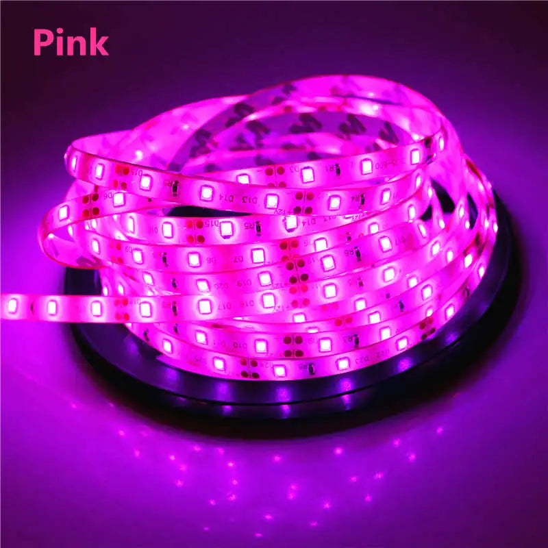 2835 SMD led strip light DC12V 5M 300LEDs flexible ribbon tape lighting White Warm white Red Green Blue Yellow Pink RGB